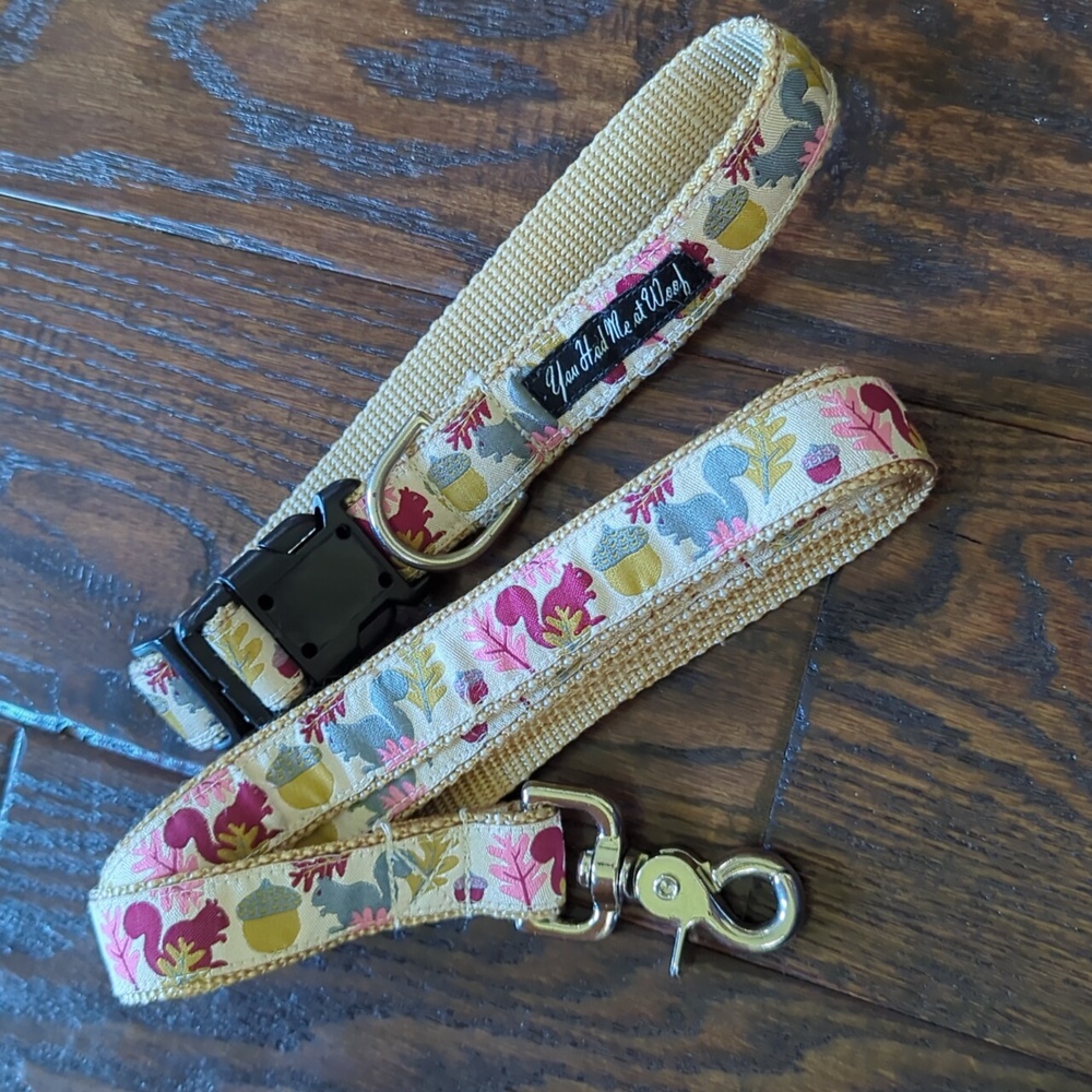 YOU HAD ME AT WOOF I Fall Autumn Squirrel Themed Dog Leash and Collar from Etsy - Picture 2 of 11